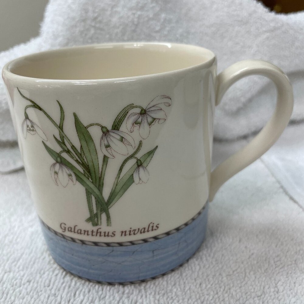 Wedgwood Sarah's Garden Queens Ware Made in England